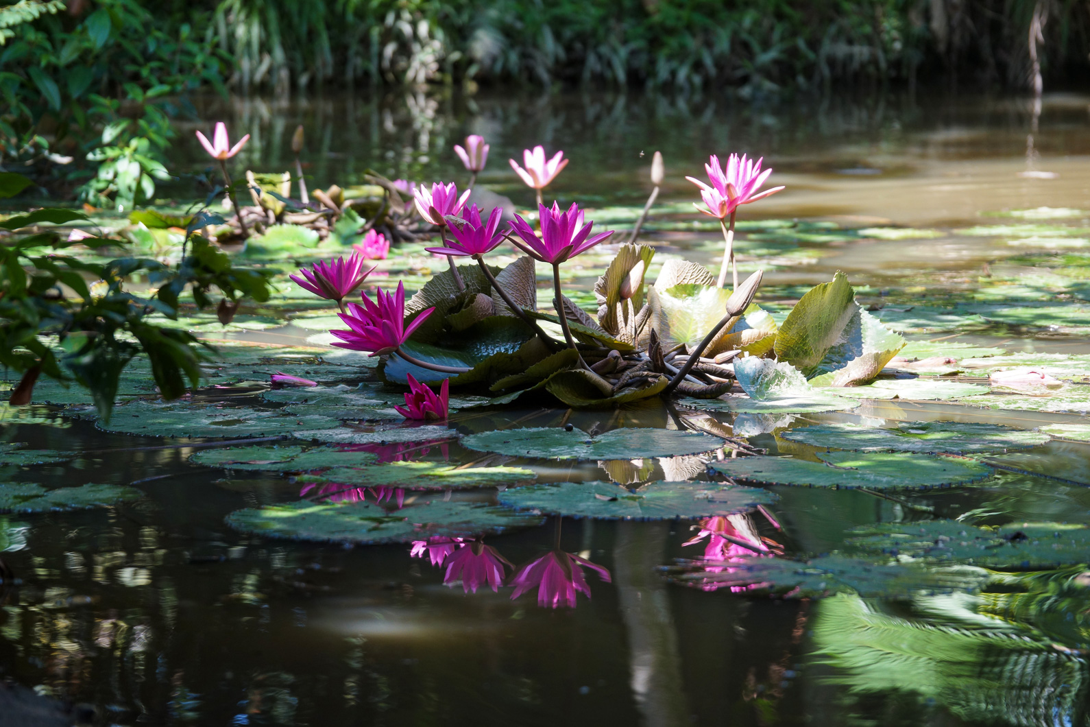 20141120 100757 Weg von can Tho nach Cai Be